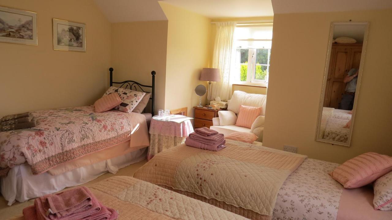 Tyreda Bed and Breakfast Ennis Eksteriør billede